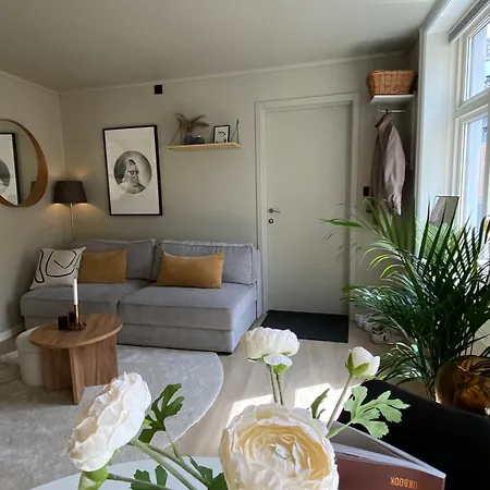 Cosy Flat In Historical Lane *